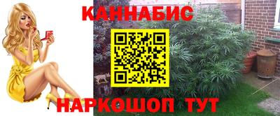 спиды Сланцы