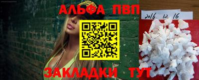 гидра Славгород