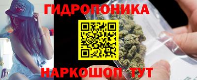 спиды Сланцы