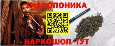 гидра Славгород