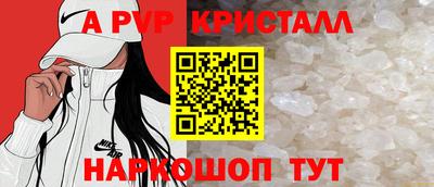спиды Сланцы